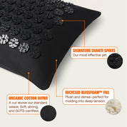 Gevorderd+Shakti Zwart