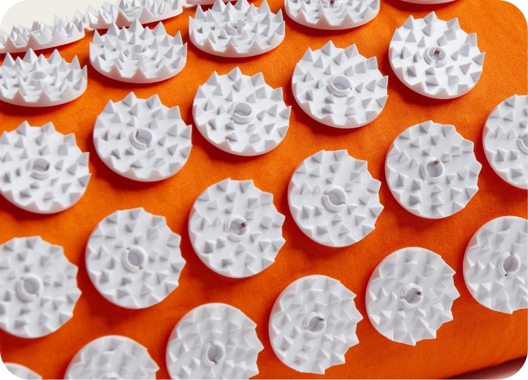 KENMERKENDE SHAKTI NAALDEN